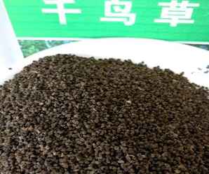 草籽1kg多少钱，一公斤千鸟草籽多少钱