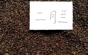 兰花种子怎么种，二月兰花种子