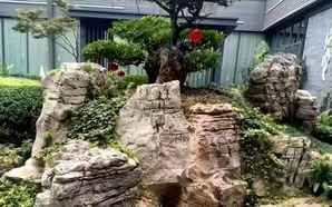 龟纹石假山园林景观，龟纹石