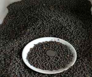 紫茉莉的种子价格，紫茉莉种子贵吗