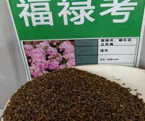 福禄考幼苗怎么养，福禄考种子价格是多少