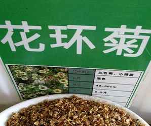 花环菊种子价格，花环菊种子多少钱一斤