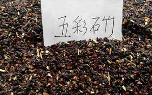 五彩石竹种子什么价格，五彩石竹种子的种植方法