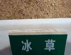 中国种子论坛，中华种子网