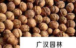 桃核种子可以发芽吗，桃核种子介绍