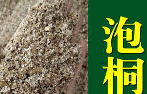 泡桐树种子价格表，泡桐树木价格一般是多少