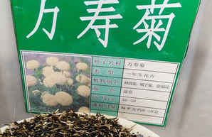 万寿菊种子多少钱一公斤，万寿菊种子育苗视频