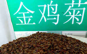 金鸡菊种子有什么作用及价格，金鸡菊种子价格每斤