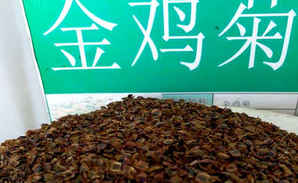 家庭最新花卉种子，花卉种子图片大全