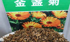 金盏菊种子价格表，金盏菊万寿菊种子