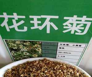 波斯菊种子价格表，花环菊种子价格表