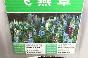 飞燕草种子今年什么价格，飞燕草种子价格多少