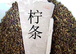 柠条种子种植方法视频，柠条种子育苗方法