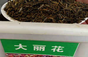 大丽花种子价格及种植方法介绍，大丽花种子多少钱一棵