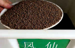 凤仙花种子多少元，凤仙花种子价格表