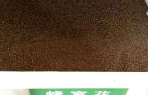 蜂室花种子图片，蜂室花种子多少钱一颗