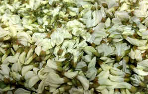 刺槐花价格，刺槐花介绍