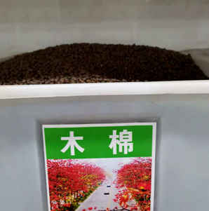 木棉果实或种子特点，木棉种子的介绍