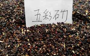 五彩石竹混色种子种植方法，五彩石竹混色的种子图片