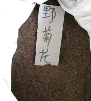 野菊花苦意种子怎么种，种野菊花是栽豆子还是种子