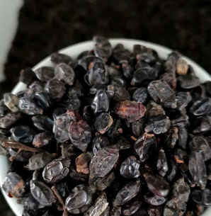 绣球花种子怎么种才能发芽，绣球花种子发芽