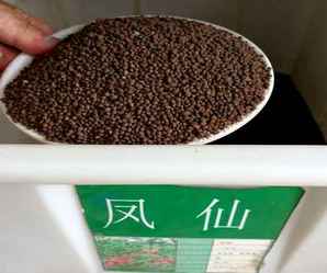 石家庄花卉种子公司电话号码，石家庄花卉种子公司