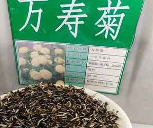 夏天的花种子有哪些，有什么夏天种的花的种子