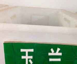玉兰种子可以吃吗，玉兰种子