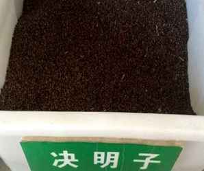 决明子种子在哪能买到，决明子种子