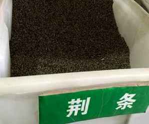 荆条种子，荆条种子播种方法