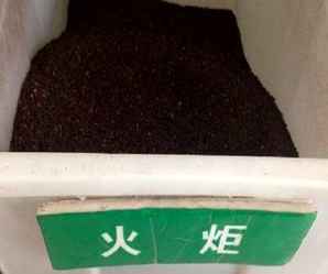 火炬种子，暗影火炬城植物种子