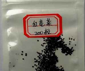 苋菜种子，苋菜种子红苋菜