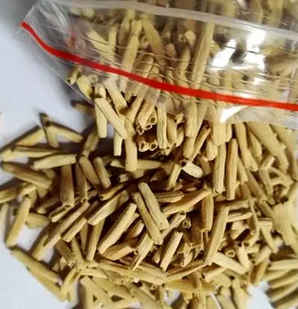 沙漠玫瑰花种子怎么播种，沙漠玫瑰种子播种方法