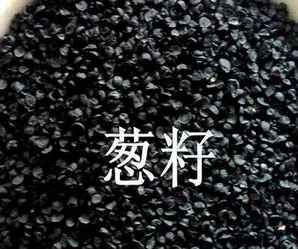 葱种子，葱种子泡水几个小时