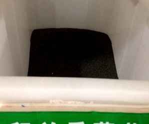 留兰香薄荷种子，留兰香薄荷种子怎么种