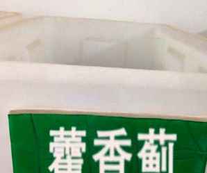 藿香蓟种子图，藿香蓟种子