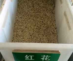 红花种子，红花种子