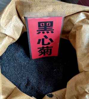 黑心菊种子介绍，黑心菊的种子长什么样子