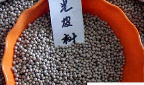 光皮树种子怎么发芽，硬壳树种子如何发芽