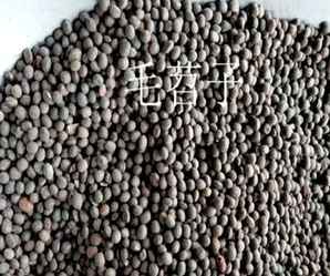 毛苕子种子出售，毛苕子种子