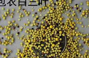 白三叶种子怎么包衣，包衣白三叶种子