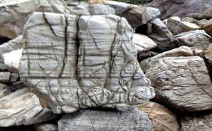 龟纹石多少钱一吨介绍，重庆收购龟纹石多少钱一吨
