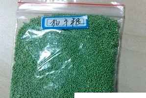 狗牙根种子性状，狗牙根带壳种子