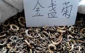 金盏菊种子的种植方法，自己种的金盏菊种子怎么收
