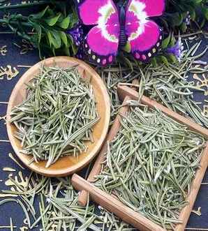 迷迭香种子催芽技术，迷迭香老桩怎样催芽