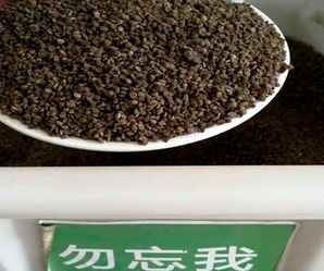 忽忘我种子产地在哪里