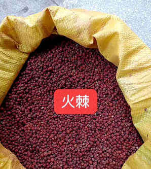 火棘种子什么时候发芽，火棘老桩盆景发芽技巧
