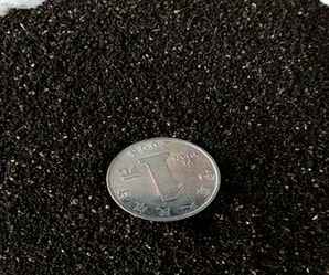 矮生金鱼草冬天能播种吗，金鱼草种子什么时候播种？