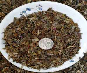百日草种子怎么培育发芽，百日草种子发芽方法