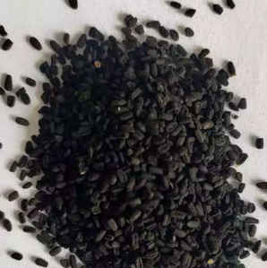 长春花种子什么样子，长春花种子多少一包